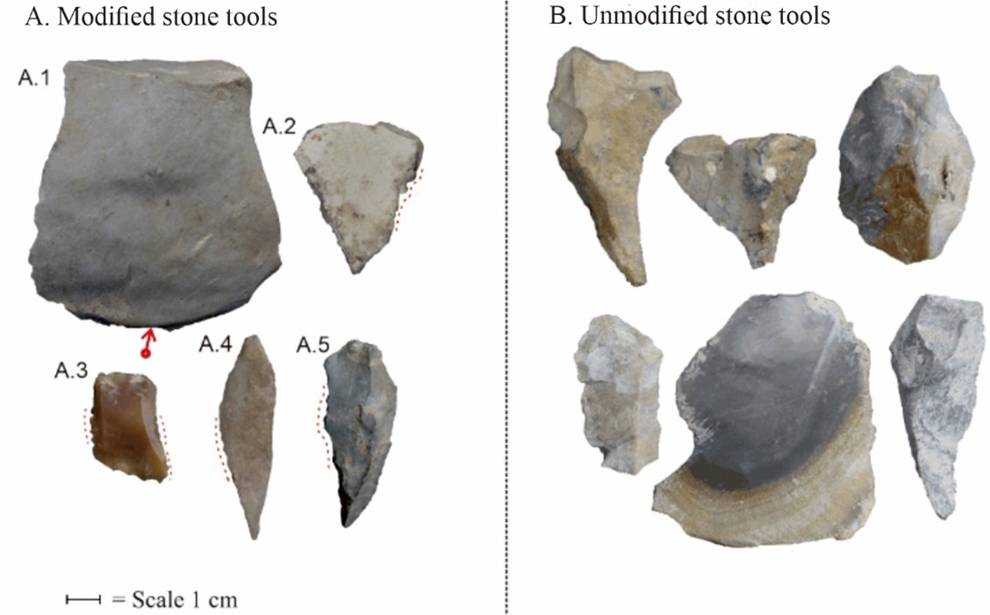 Samples of pre-historic stone tools from South Sulawesi